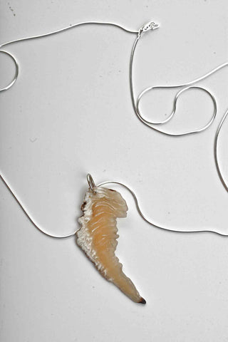Wing Series Natural Edge Muskox Horn Necklace