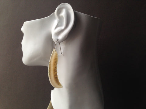 Crescent Series Muskox Horn Earrings with Natural Edge