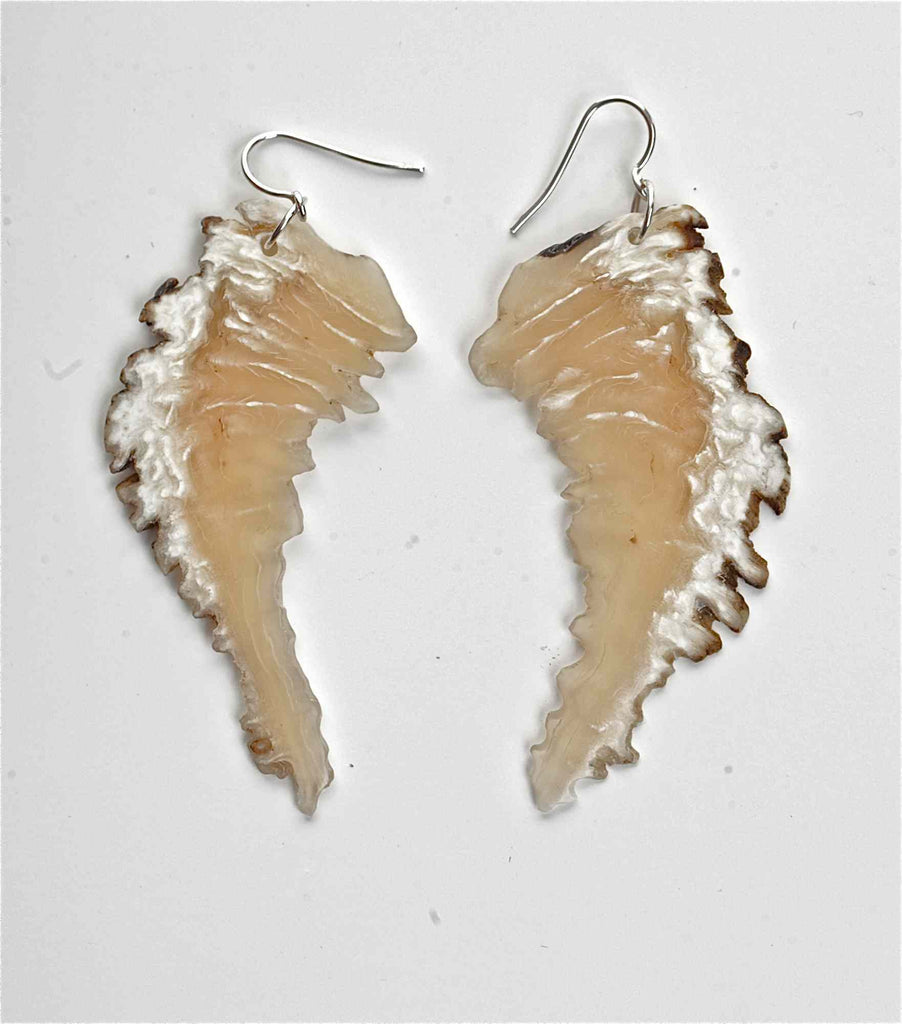 Wing Series Natural Edge Muskox Horn Earrings